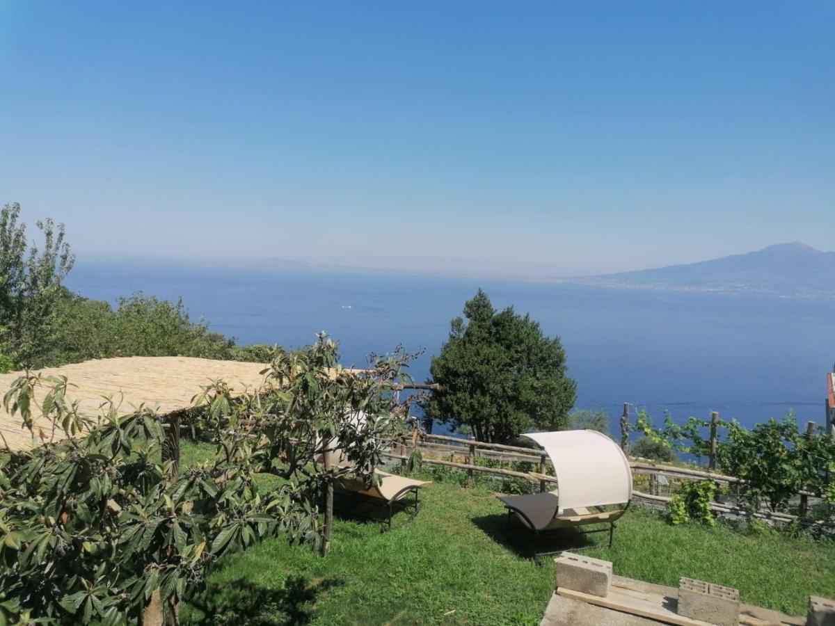 La Badia Montechiaro - Breathtaking View Of Sorrento Coast Βίλα Vico Equense Εξωτερικό φωτογραφία