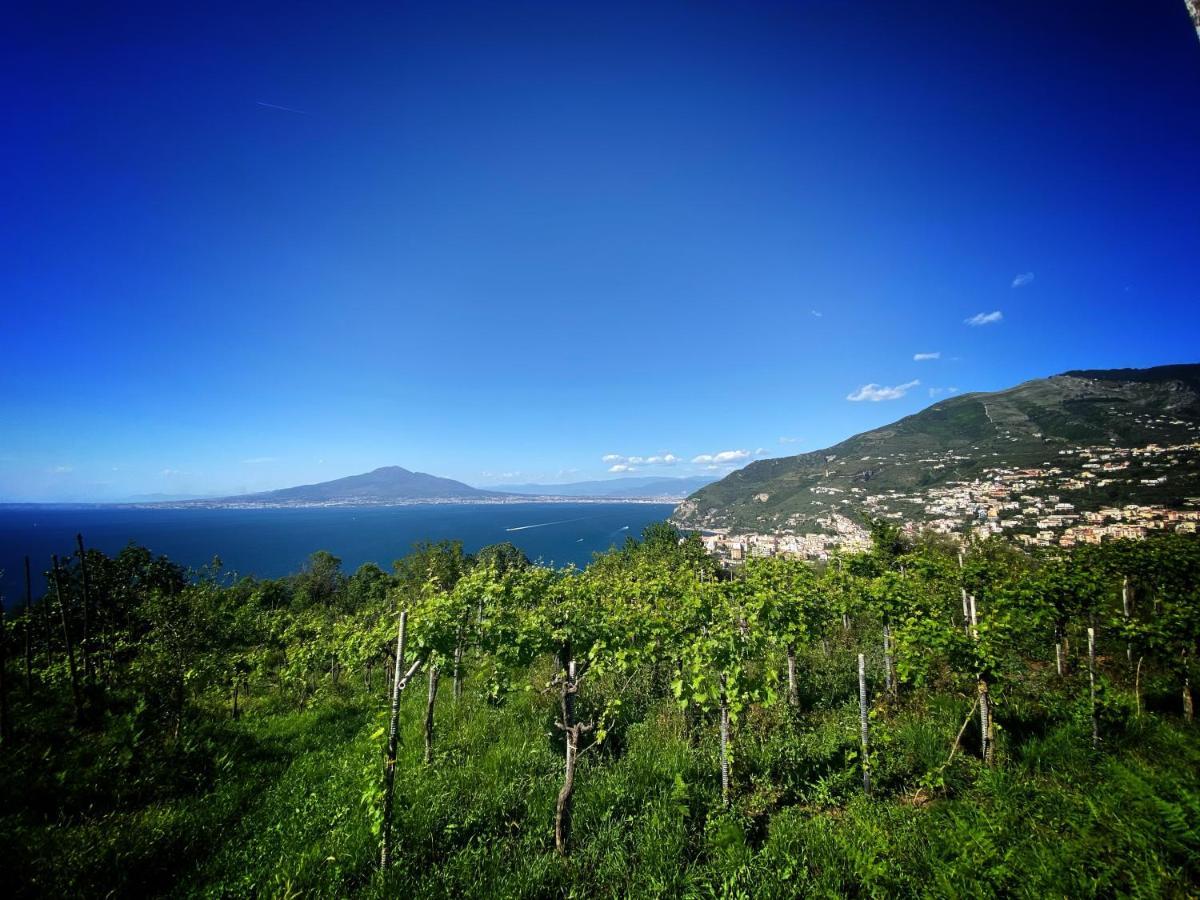 La Badia Montechiaro - Breathtaking View Of Sorrento Coast Βίλα Vico Equense Εξωτερικό φωτογραφία