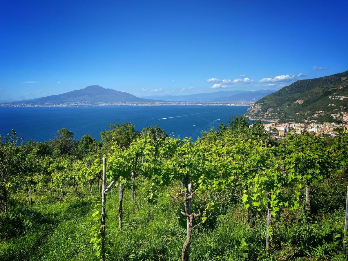 La Badia Montechiaro - Breathtaking View Of Sorrento Coast Βίλα Vico Equense Εξωτερικό φωτογραφία