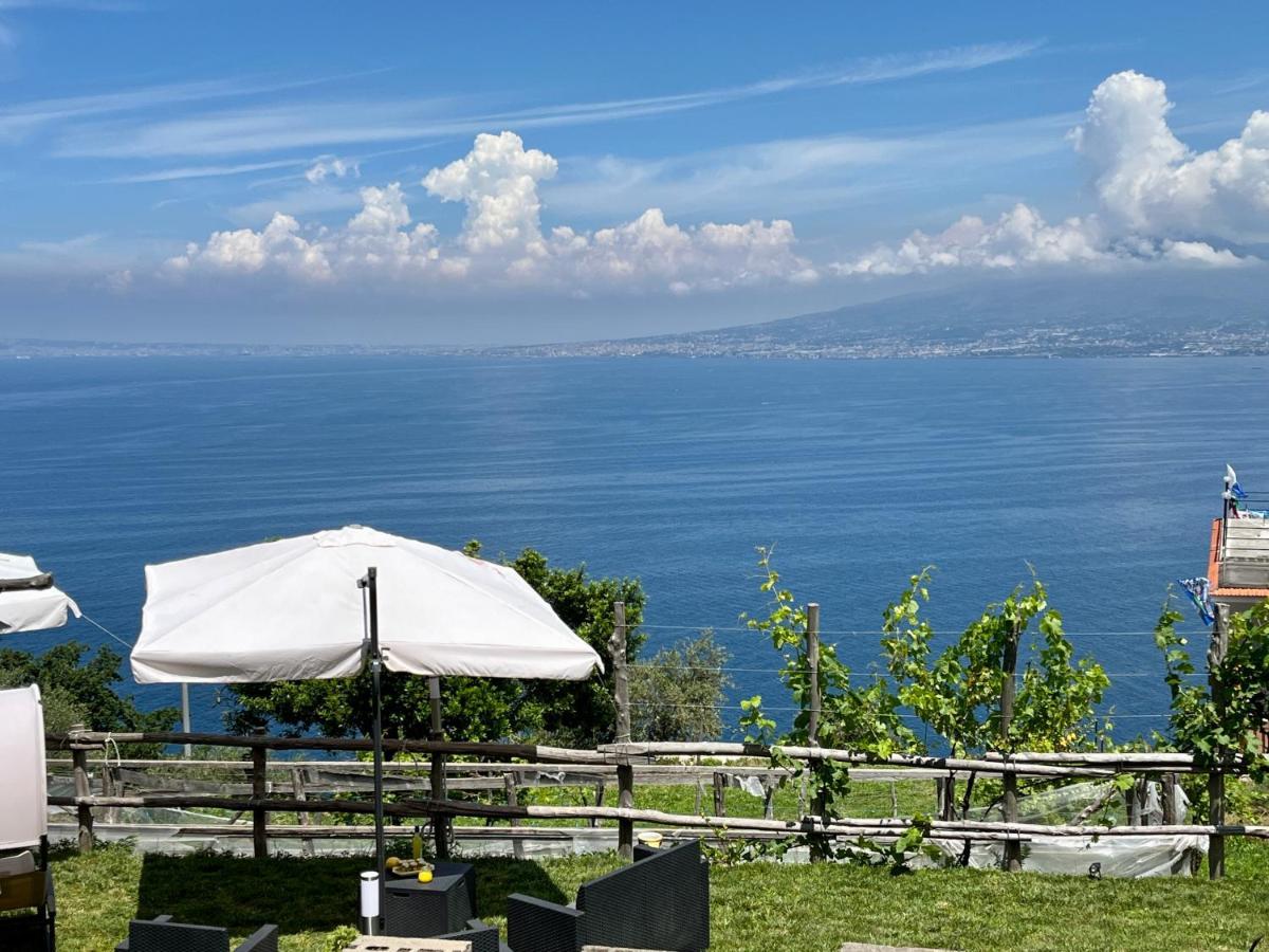 La Badia Montechiaro - Breathtaking View Of Sorrento Coast Βίλα Vico Equense Εξωτερικό φωτογραφία