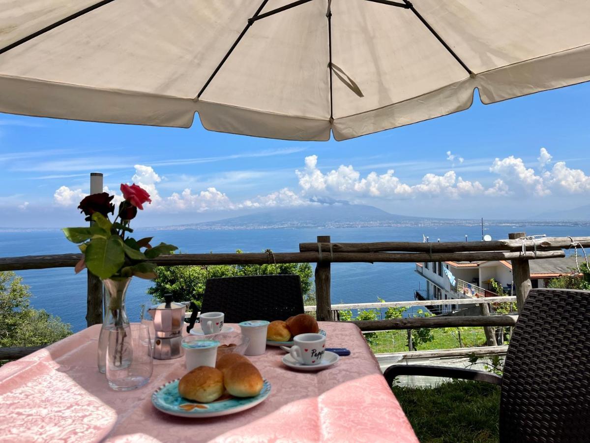 La Badia Montechiaro - Breathtaking View Of Sorrento Coast Βίλα Vico Equense Εξωτερικό φωτογραφία