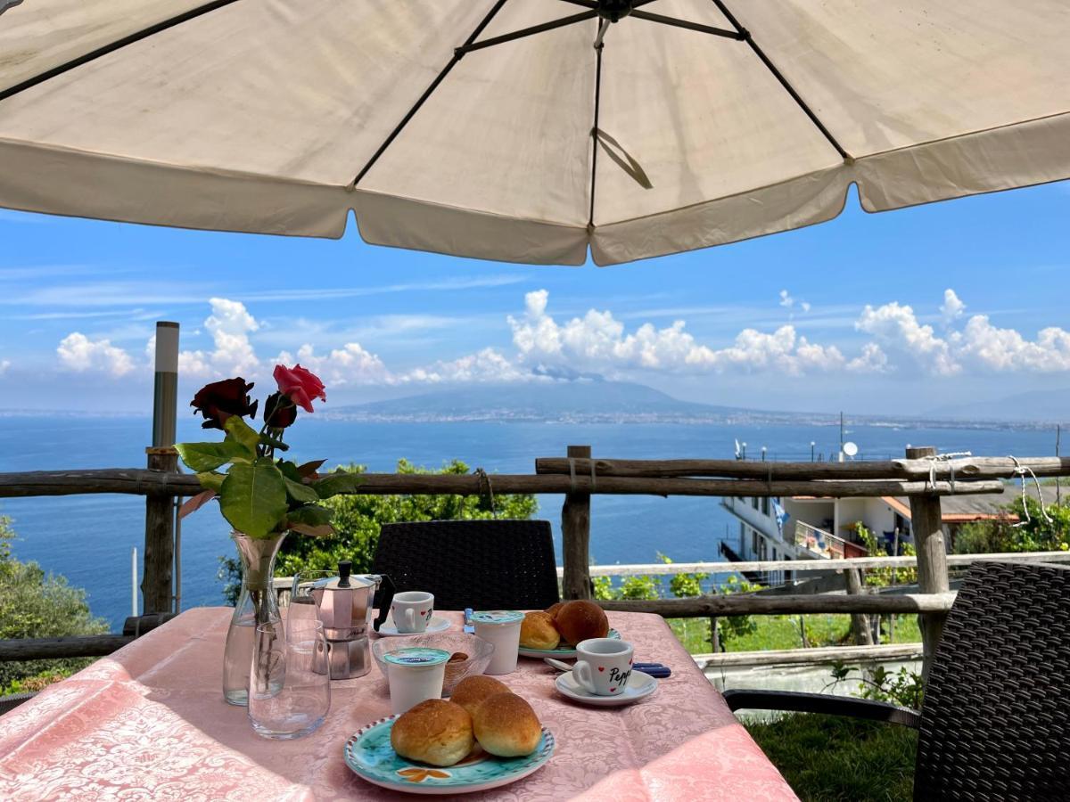 La Badia Montechiaro - Breathtaking View Of Sorrento Coast Βίλα Vico Equense Εξωτερικό φωτογραφία