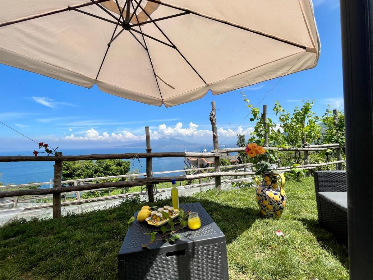 La Badia Montechiaro - Breathtaking View Of Sorrento Coast Βίλα Vico Equense Εξωτερικό φωτογραφία