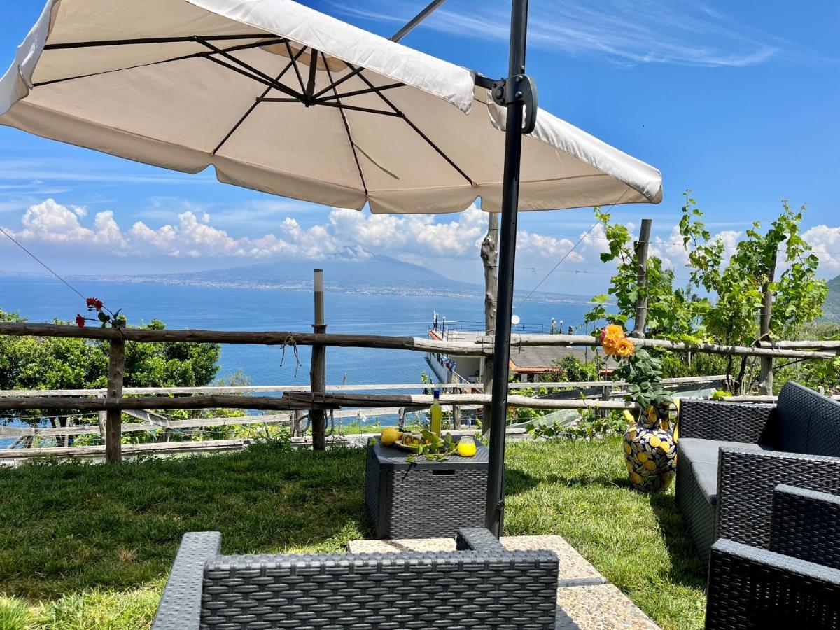 La Badia Montechiaro - Breathtaking View Of Sorrento Coast Βίλα Vico Equense Εξωτερικό φωτογραφία