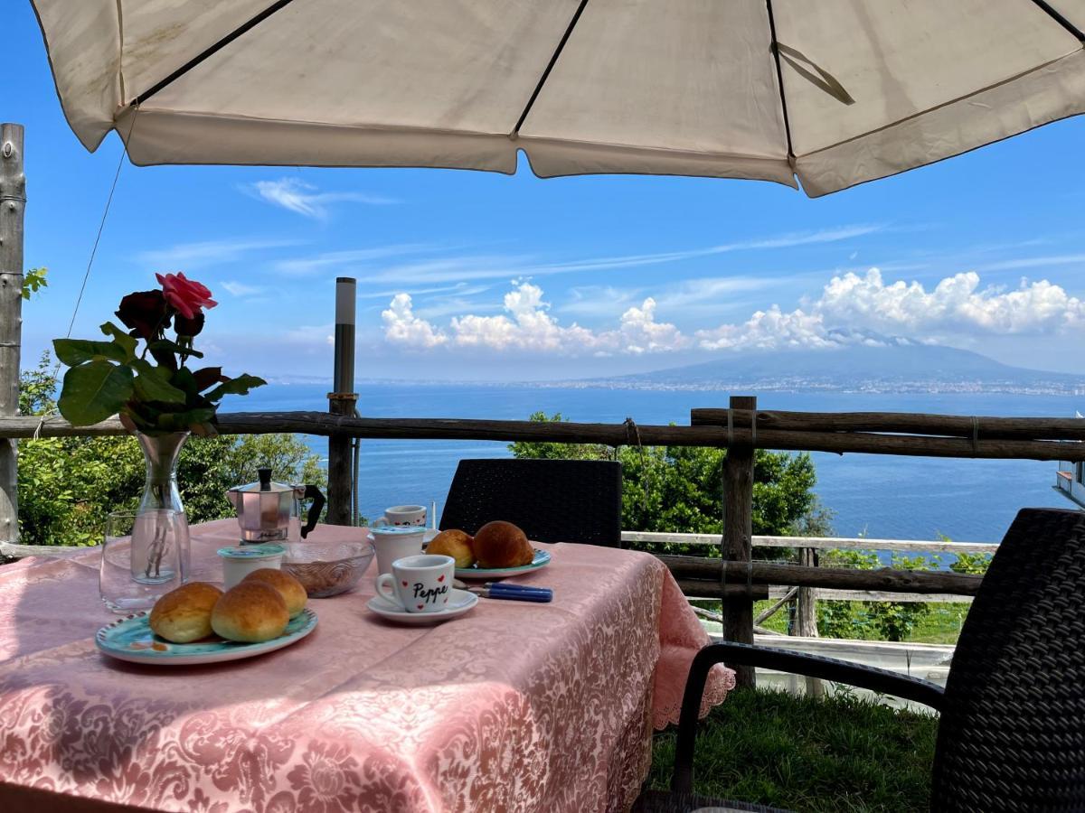 La Badia Montechiaro - Breathtaking View Of Sorrento Coast Βίλα Vico Equense Εξωτερικό φωτογραφία