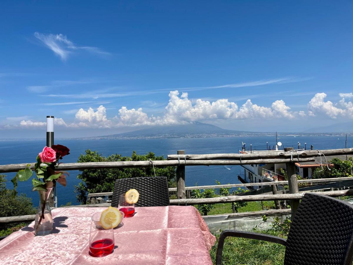 La Badia Montechiaro - Breathtaking View Of Sorrento Coast Βίλα Vico Equense Εξωτερικό φωτογραφία