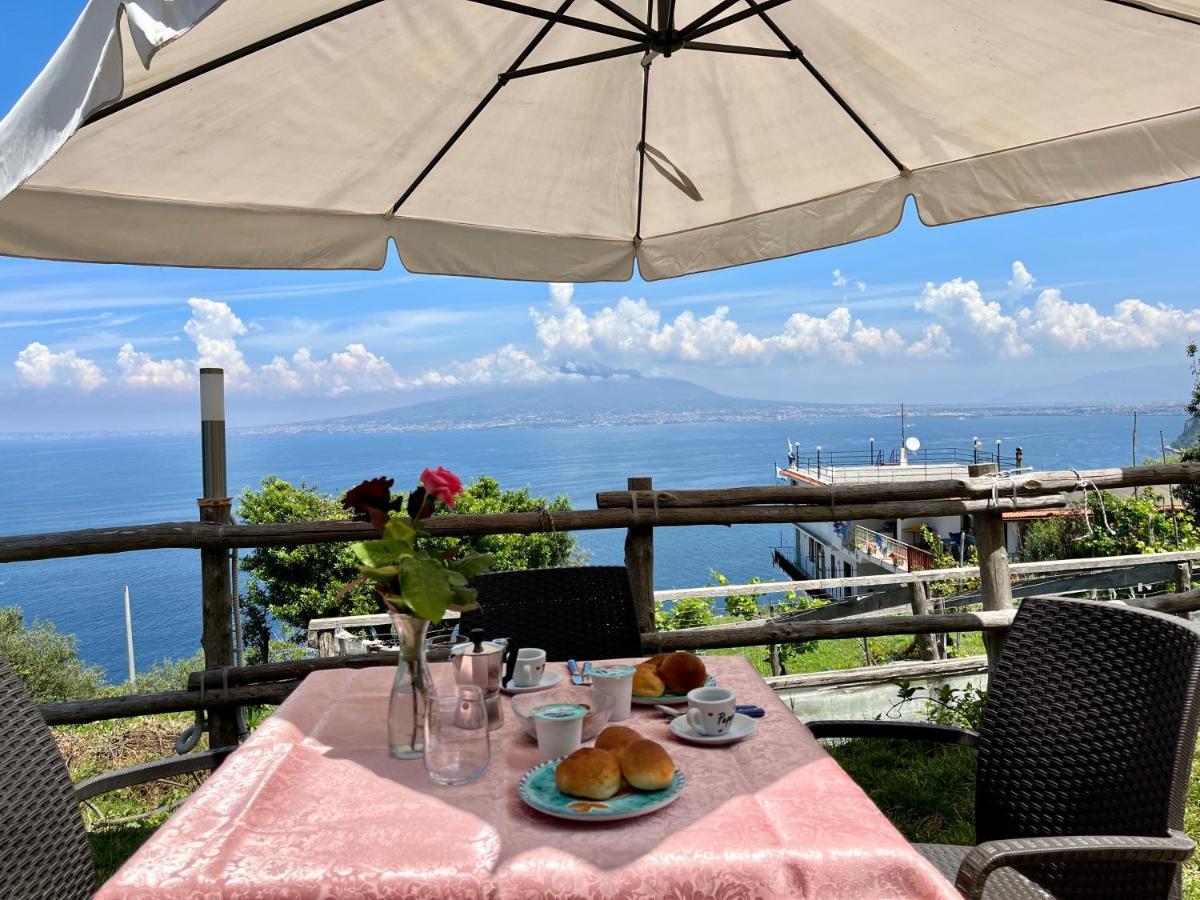 La Badia Montechiaro - Breathtaking View Of Sorrento Coast Βίλα Vico Equense Εξωτερικό φωτογραφία