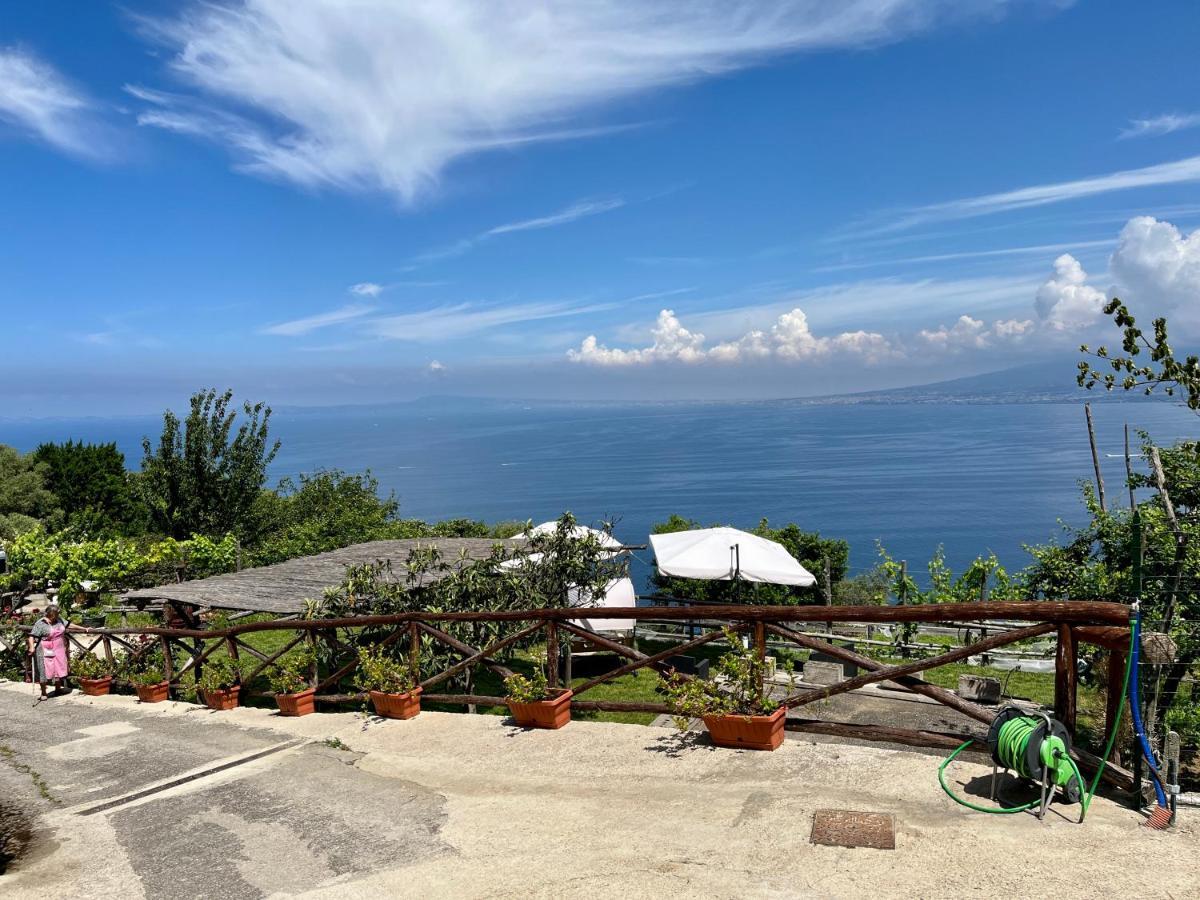 La Badia Montechiaro - Breathtaking View Of Sorrento Coast Βίλα Vico Equense Εξωτερικό φωτογραφία