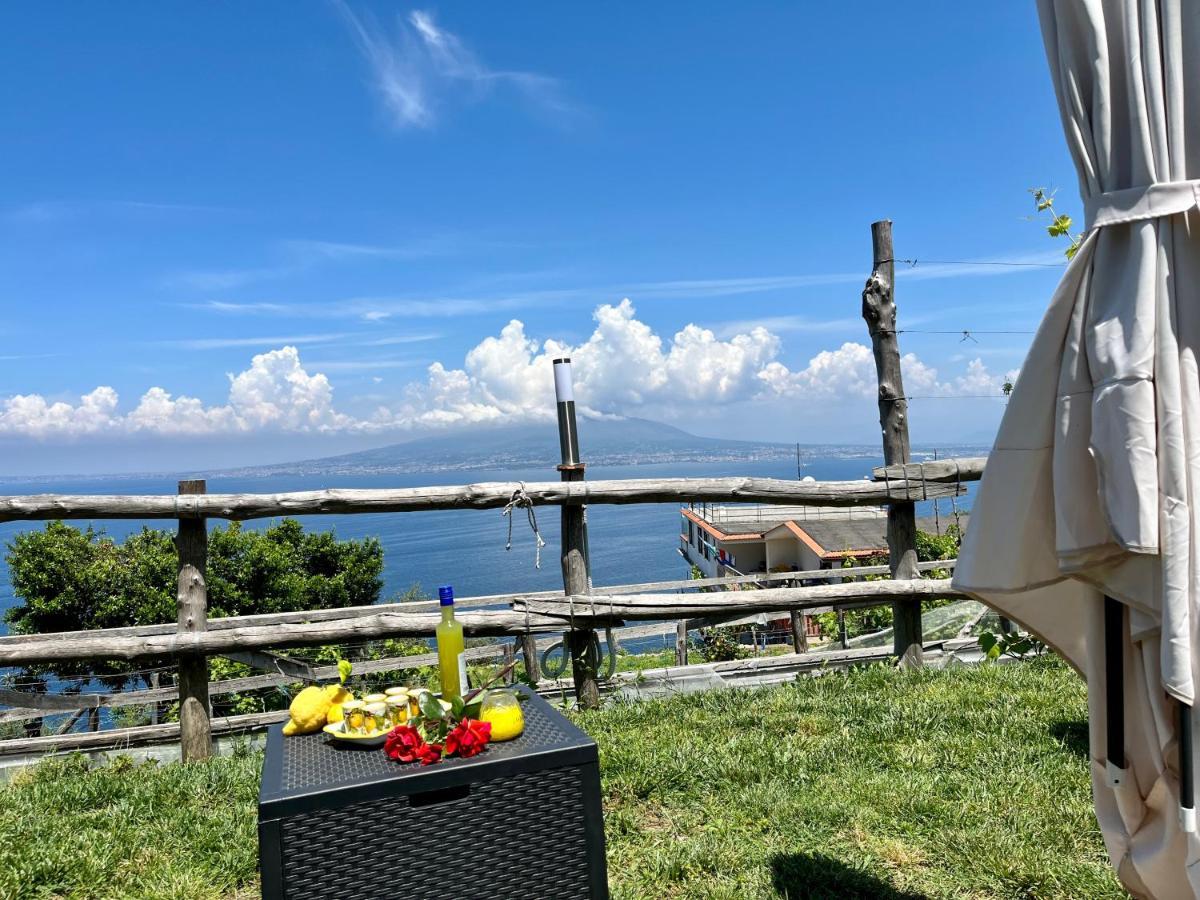 La Badia Montechiaro - Breathtaking View Of Sorrento Coast Βίλα Vico Equense Εξωτερικό φωτογραφία