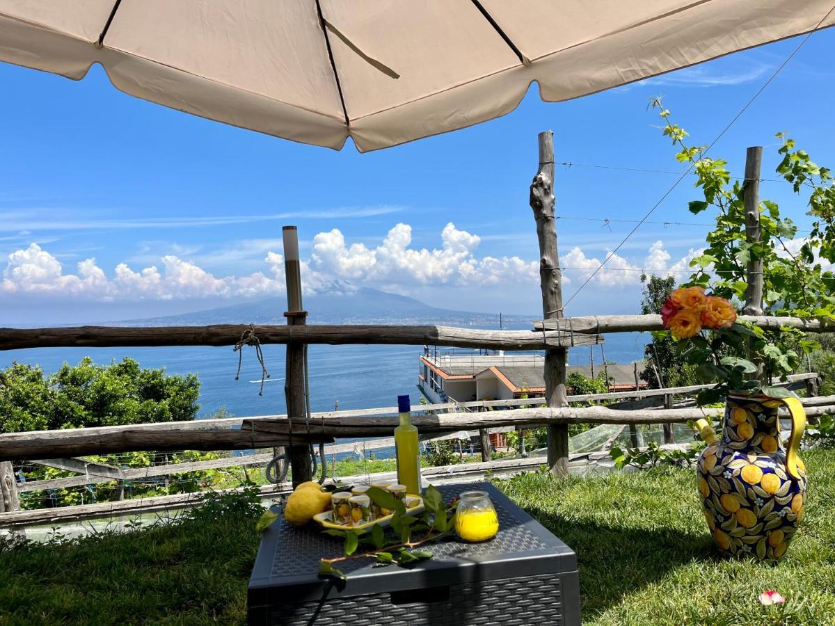 La Badia Montechiaro - Breathtaking View Of Sorrento Coast Βίλα Vico Equense Εξωτερικό φωτογραφία